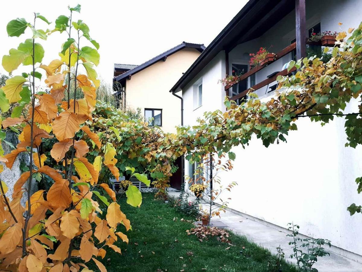 Casa Mais Braşov Exterior foto