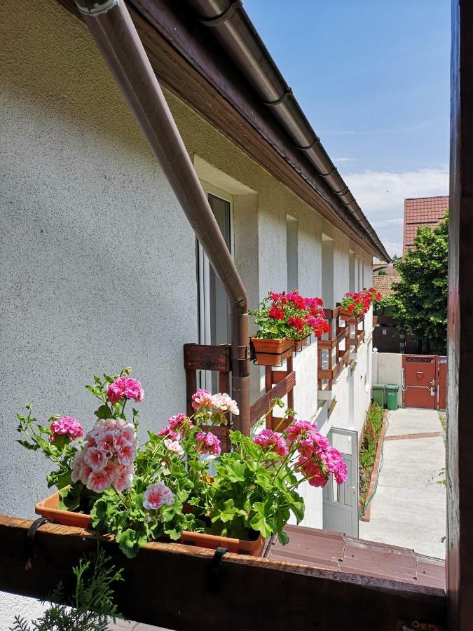Casa Mais Braşov Exterior foto
